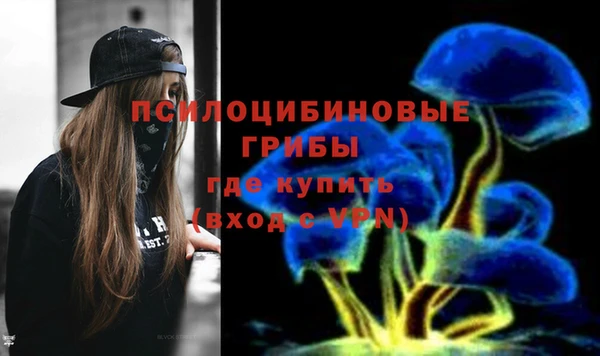 ALPHA-PVP Верея