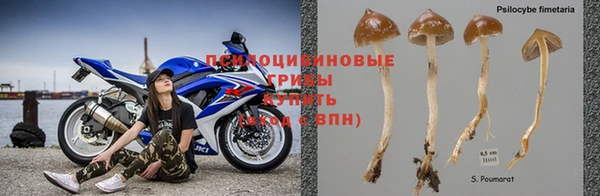 ALPHA-PVP Верея