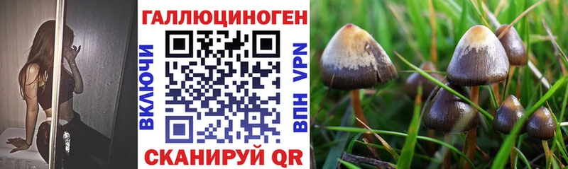 Псилоцибиновые грибы Magic Shrooms  Мончегорск 